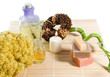Wellnes products