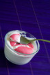 fromage blanc et macaron framboise