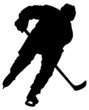 Eishockey Team
