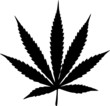 Cannabis Leaf