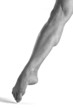 piedi-feet