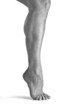 piedi-feet
