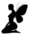 Fairy silhouette
