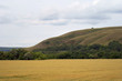 Green hill and yellow field