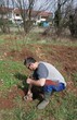 Photo: Farmer Planting Fruit Tree Farmer Planting Fruit Tree