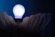 Lumière des anges