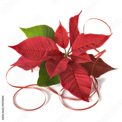 Christmas arrangement Christmas arrangement