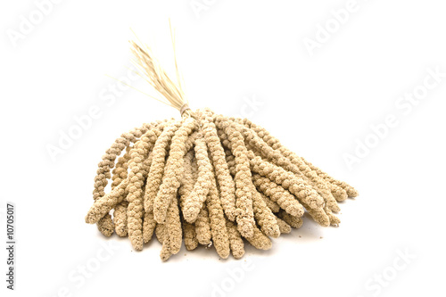 Hirse