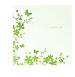 Abstract floral background Abstract floral background