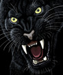 Angry Panther