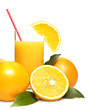 fresh orange juice fresh orange juice