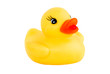 duck new 2