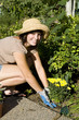 Woman Gardening