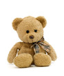 teddy bear new 1
