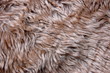 pelt texture pelt texture