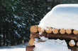 frozen wood