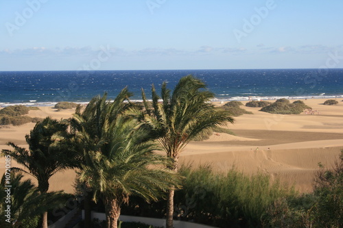 Dünen Maspalomas_6