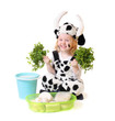 girl in fancy dress