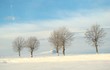auvergne sous la neige