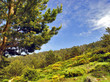 paisaje