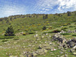 paisaje