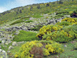 paisaje