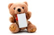 isolated teddy with blank sheet isolated teddy with blank sheet