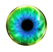Glossy eye ball