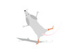 Vektor: vector illustration "funny mouse are dancing" vector illustration "funny mouse are dancing"