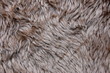 pelt texture pelt texture