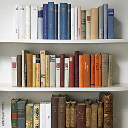 bookcase 01
