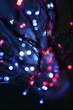 christmas lights, not in focus