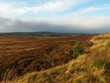 plaine venteuse Highlands Ecossais plaine venteuse Highlands Ecossais