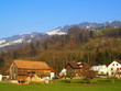 îlot ....loin du tumulte