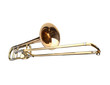 Trombón a vara_7553b.