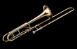 Trombon a vara_7551.