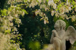 la prière de l'ange aux fleurs d'accacias la prière de l'ange aux fleurs d'accacias
