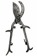 vintage pruning shears