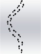 Traces