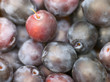 Plums