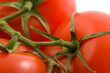 ripe tomatoes isolated