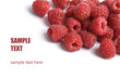 fresh raspberries background isolated