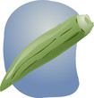 Okra illustration