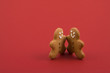 Christmas Cookie Christmas Cookie