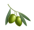 Olive
