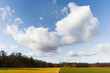Feld