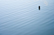 Wasser