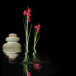 Zen Silence