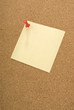 Push pin, note and cork board