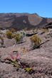 Piton de la fournaise Piton de la fournaise
